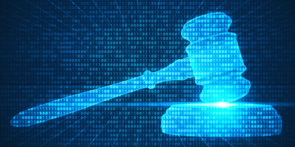 Whitepaper: Data Privacy for the Information Professional