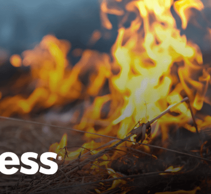 ¿Está Su Información En Riesgo Debido a Los Incendios Forestales? Aquí Le Mostramos Cómo Prepararse Con Anticipación